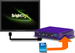 BRIGHTSIGN HDV[YC[W